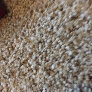 Meet your Posher, Isaiah